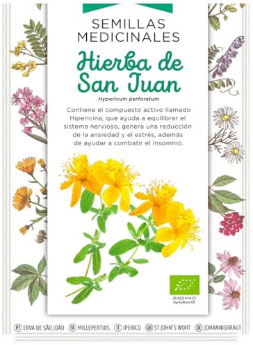 Semillas Medicinales - Hierba de San Juan - Semillas listas para plantar.