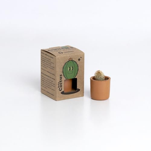 Resetea | Baby Cactus | Mini kit de cultivo de cactus