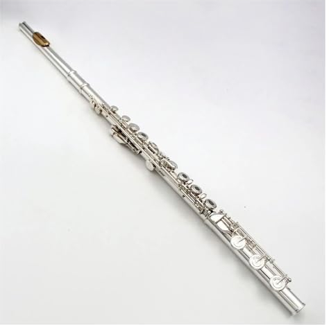 Flöte Aus Massivem Sterlingsilber Mit Geteiltem E-Klappenschlüssel, 17 Klappen, Offenem C-Ton-Loch Und Aufbewahrungsbox Querflöte für Anfänger