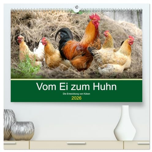 Vom Ei zum Huhn. Die Entwicklung von Küken (hochwertiger Premium Wandkalender 2026 DIN A2 quer), Kunstdruck in Hochglanz: Die erstaunliche Geburt von niedlichen Küken (CALVENDO Tiere)