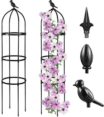 Simabsie Garten-Obelisk-Spalier für Kletterpflanzen, 6 Ft, Rosenbusch, rundes Spalier für Töpfe, rostfreies Metall, Reben, Jasmin, Stütze, draußen, drinnen (2 Packungen) SH-PLJ-024_DE