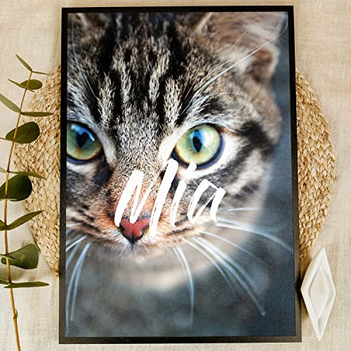 Elbeffekt Hauskatzen Geschenk Holzbild - Foto Geschenk - personalisierbar zum Hinstellen/Aufhängen optional beleuchtet Katzen Deko, Katzen Spielzeug, Katzen Zubehör - personalisierte Geschenke