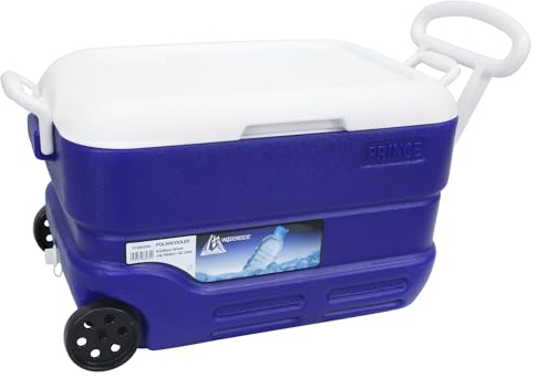 Waterside Polarcooler Kühlbox Driver mit Rädern 42 Liter - Idealer Reisebegleiter für Ausflüge und Angelreisen - Thermische Isolierung
