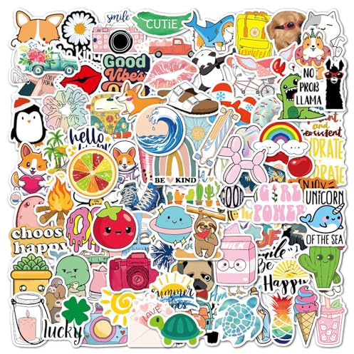 EUZUXU 100 Stücke Aesthetic Sticker Set - Coole Aufkleber für Laptop, Computer, Sammelalbum, Gitarre, Wasserflasche, Koffer, Skate, Notebook