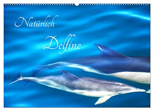 Natürlich Delfine (Wandkalender 2026 DIN A2 quer), CALVENDO Monatskalender: Glückliche Delfine leben in ihrem natürlichen Lebensraum (CALVENDO Tiere)