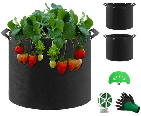 QCR 5 Galloni(19L) Sacchi per Piante, Sacchetti Traspiranti in Tessuto Non Tessuto Traspirante per Aerazione Vasi da Giardino Contenitore per Fiori Ortaggi, 19 Liter (D30 x H25)