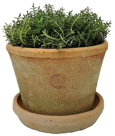 Large Terracotta Plant Pot with Saucer, Rustic Planter, Succulent Pot, Tall Terracotta Plant Pot with Dish, Redstone Weathered Aged Stone Herb, Bulb, Crocus, Flower Pot Planter