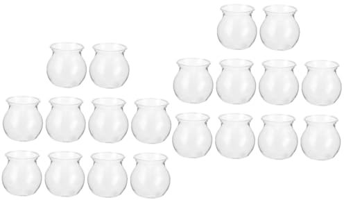 Yardwe 20stücke Transparentes Hydroponisches Gefäß Für Sukkulenten Pflanzen Für Schreibtischdekoration Pflanzgefäß Für Innenräume Für Zucht Von Sukkulenten Und Pflanzenpflege