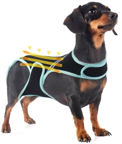 Support Dorsal pour Chien, Protection Dorsale Aide À La Récupération et À La Rééducation des Blessures(S)