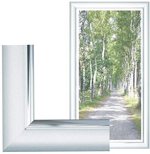 Bilderrahmen, für Bilder der Größe 40x80, Farbe Silber, ideal für Malen nach Zahlen Bilder z.B. von Schipper ohne Glas
