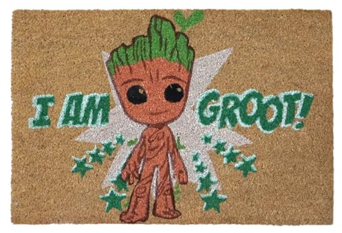 Christmas Inspirations Groot Fußmatte Kokos Türmatte 40x60 cm für innen & außen Schmutzfangmatte dekorative Haustürmatte für Eingangsbereich, Flur und Wohnungstür