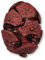 naninoa ZYPRESSEN-ZAPFEN ca 25-35mm. (Baumzapfen, Tannenzapfen, Zapfen) 600 ml. ROT