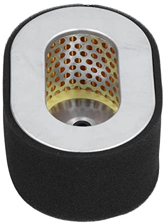 Fafeicy Filtro dell'Aria del Generatore - Elemento in Spugna di Ferro per Motore L90 L100 114650‑12590 186F