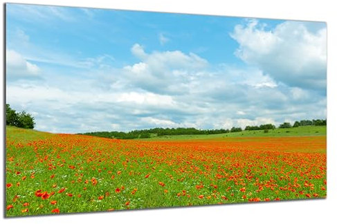 DARO Design - Wand-Bild auf 6mm HDF 70x50 cm Blumenwiese Mohn-Blumen - Wand-Deko Bilder Geschenk