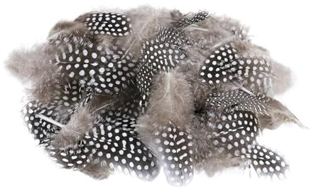 50 Stück Natürliche Federn Deko Federn Ostern, Federn zum Basteln, Perlhuhnfedern Wachteleier Deko, Braun Federn Basteln Weich Feather, Naturfedern Hühnerfeder Kopfschmucksfedern für DIY Kunstwerk