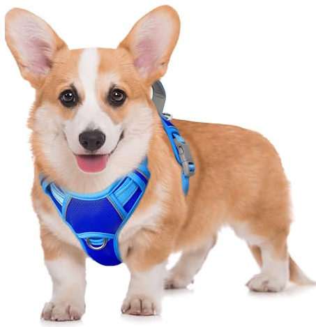 BARKBAY No Pull Dog Harness Large Reflective Dog Harness with Front Clip and Easy Control Handle for Walking Training Running with ID tag Pocket(Sapphire Blue & Blue,M)