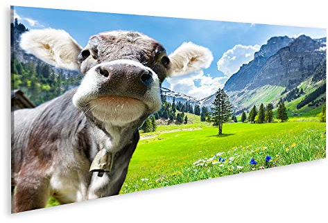 islandburner Bild auf Leinwand Kuh In Den Schweizer Alpen Bilder Wandbilder Poster