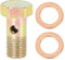 X AUTOHAUX M10x1.0mm Metric Thread Banjo Bolts Brake Fitting Adapter with 2pcs M10 Washers