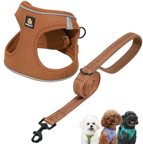 BELLA & PAL Hundegeschirr Kleine Hunde mit Leine, Step-in Geschirr aus Air Mesh, Anti Zug Reflektierend Atmungsaktiv Brustgeschirr, Welpengeschirr für Kleine Hunde, Katzengeschirr, Mokka, XXS