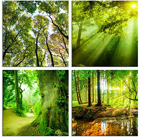 decomonkey - Impression sur Toile Intissé Nature Foret 40x40 4 Pièces - Tableau Décoration Appartement Cadre en Bois Photo Déco Salon Peinture sur Toile Maison Des arbres paysage forêt nature eau