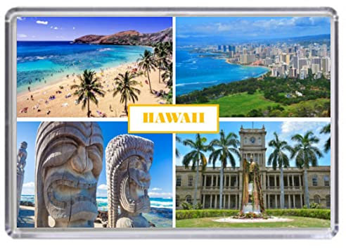 Hawaii USA Souvenir Acrylic Fridge Magnet (Standard: 70x45mm)