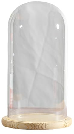 EYRMQWJPC Cloche en Verre Transparent, Cloche en Verre avec Socle Bois for Plantes, Objets décoratifs et Figurines. Diamètre : 15 cm. Hauteur 30-35(Dia15*H35cm)