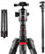 NEEWER 200cm Carbon Fiber Monopod Tripod 2 Center Axis for Camera, 360 Degree Ball Head, 1/4 Quick Shoe Plate and Bag for DSLR Camera Camcorder, Load up to 12kg