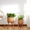 Paco Home Blumentopf Übertopf Natur Rattan Set mit Folieneinsatz Pflanzentopf Auslaufsicher Groß für Zimmerpflanzen, Farbe:Natur, Sets:2pcs Set/Design 6