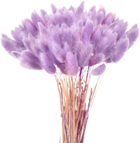 60Pcs Getrocknetes Pampasgras, Natürlich Blumenstrauß, Trockenblumen Bodenvase, Künstlich Groß Deko