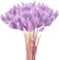 60Pcs Getrocknetes Pampasgras, Natürlich Blumenstrauß, Trockenblumen Bodenvase, Künstlich Groß Deko