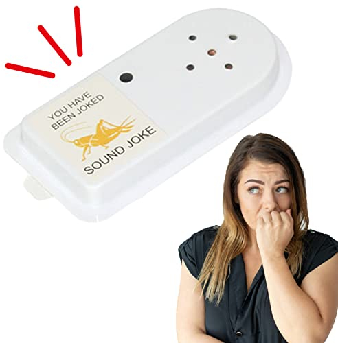 LOVEMETOO Hide Streich Geräuschmacher | Cricket Geräuschemacher Streich | Grille Geräuschemacher Streiche?Versteckte Prank Noise Maker ?Cricket Sound Lästige Streiche,Praktischer Scherz