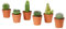 Cactus ornamentali SET DI 6 PIANTE GRASSE VERE 'MEXICO' in vaso 5. 5 cm