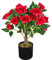 Decovego Rose Rosenstock Rosenbusch Kunstpflanze Künstliche Pflanze mit Blüten Rot Echtholz 50 cm Kunstblume Innendekoration Kunst Pflanze wie echt im Top