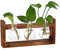 Plant Lover Gifts,Ompinda Desktop Glass Plant Terrarium Propagation Station Hydroponics Plants Vase with Wooden Stand for Home/Office Decor (3 Bulb Containers) (Round)