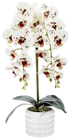 Premium Orchidee Künstlich XL 60cm I Wie Echt I Blumen Deko I Im Topf I Hergestellt in der EU I 2 Stängel - 18 Blüten, Weiß Mit Rot (Weißer Blumentopf)