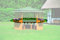 Beauty.Scouts Outdoor Dino Collection Blumenkasten für Pavillon Marion und Milena, honigbraun, 108x22x19cm, Pavillonzubehör, Garten, Pflanzkasten, Kräuterpflanzkasten, Blumen