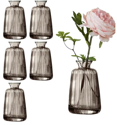 6 Stück Kleine Glasvasen für Tischdeko, Mini Vasen Blumenvase Set für Hochzeit Tischdeko(11× 6,5cm, Grau)