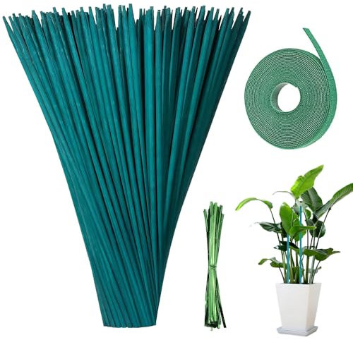mizikuu 50 Pièces Tiges de Support pour Plantes, 38CM Stake de Plante en Bois Vert Tuteurs de Plantes avec 30 Yard Ruban de Papier et 50 Attaches Végétales pour Attaches Végétales