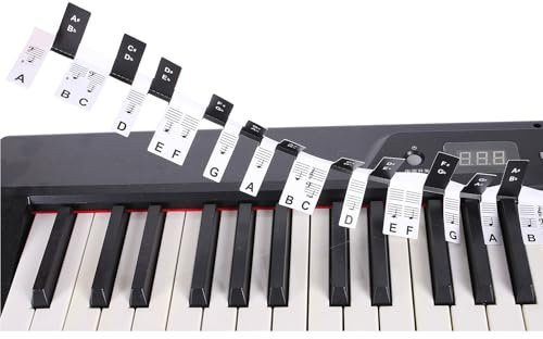 DOUDINGMAO Piano Keyboard Stickers Electronic Piano Keyboard Note Stickers Removable Note Labels for Beginners Learning Piano