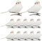 Naisicatar Faux Oiseaux, Ornements d'oiseaux de Noël avec Clip Birds en Mousse Artificielle pour Les décorations de couronnes d'arbres de Noël 12 pcs Blancs