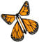 Flying Butterfly Toy, Flying Butterfly Greeting Cards, Science Experiment with Elastic Band, Accessories for Kids Birthday Wedding Teaching Rewards