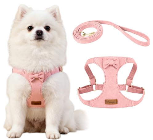 XFSRG Pettorina Cane Anti Trazione Sicuro e Confortevole Regolabile Traspirante Pettorina con Guinzaglio per Piccola Media Taglia Addestrare le Passeggiate(Rosa/S)