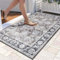 Hafaa Door Mats 80x150 cm Indoor Machine Washable Soft Fluffy Door Mat Dirt Trapper Non-Slip Floor Mats for Kitchen Welcome Front Doormat Inside Outside (Harmony)