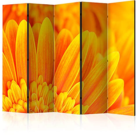 murando - Paravent Raumteiler Innen Blumen 225x172 cm 5-teilig Einseitig Raumtrenner Trennwand Holz Room Divider Sichtschutz Spanische Wand Raum Abtrennung Natur Botanik orange Gerbera b-C-0470-z-c