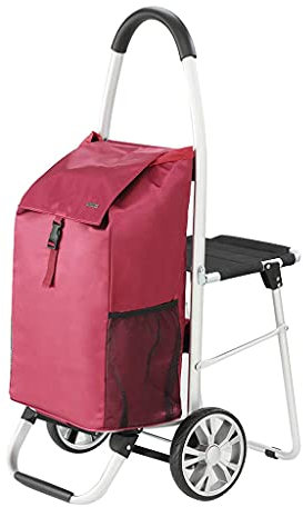 YAODCHU Carrello della Spesa, Porta Pieghevole per Uso Domestico per Anziani, Carrello della Spesa con Sedia della Spesa, Carrello con possibilità di sedersi
