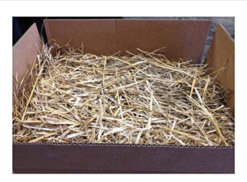 The Kitty Tube Wisconsin Grown Wheat Straw