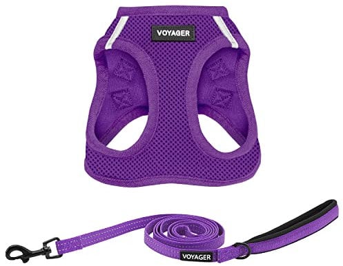 Best Pet Supplies Voyager Step-in Air, Allwetter-Mesh-Geschirr und reflektierender Hund, 1,52 m, Kombination mit Neopren-Griff, für kleine, mittelgroße und große Welpen, Violett, Größe M