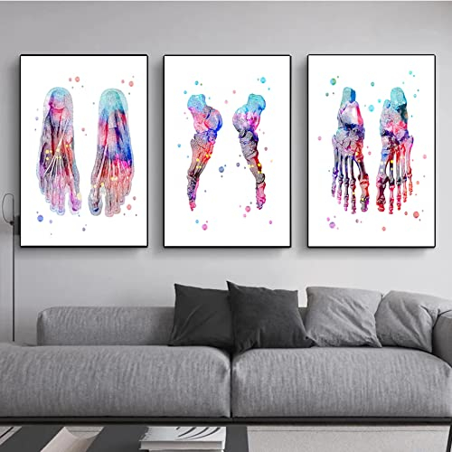 WTEVMAIY Fuß-Set, Skelett, Leinwand, Malerei, Fußknochen, Anatomie, Medizin, Poster, Drucke, Wandkunst, Bild für Wohnzimmer, Wanddekoration, rahmenlos, 50 x 70 cm, 3 Stück