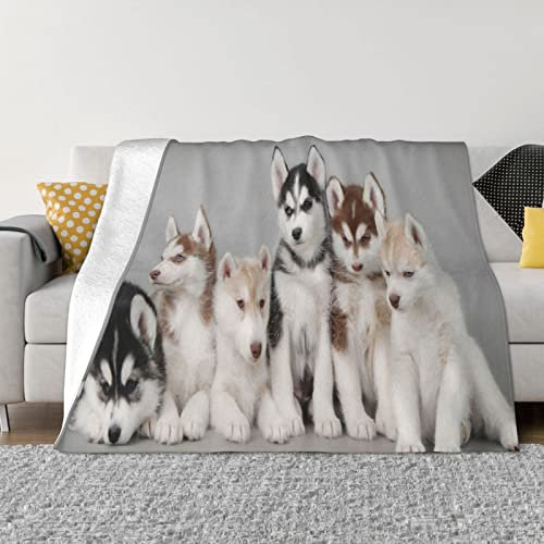 Husky Fleece-Überwurfdecke für Couch, dick, flauschig, warm, weich, für Sofa, Schlafzimmer, Decke