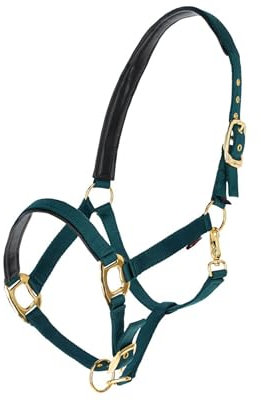 Brama West Halfter Pferd Golden Line Pferdehalfter mit Goldenen Beschlägen (Grün, Cob)